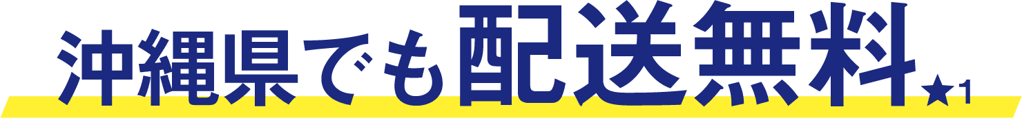 送料無料。最短2日配送