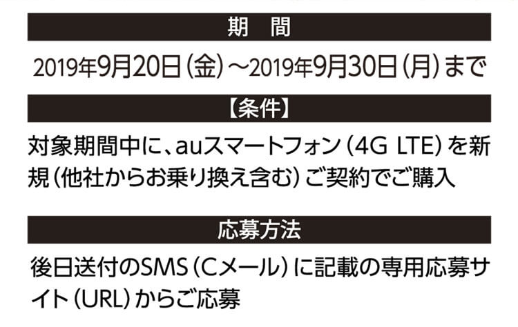 詳細情報