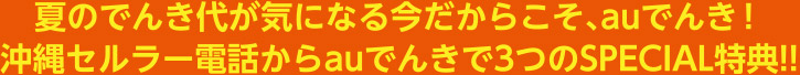夏のでんき代が気になる今だからこそ、auでんき！沖縄セルラー電話からauでんきで3つのSPECIAL特典!!