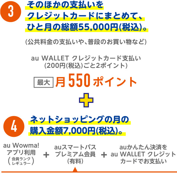 そのほかの支払いをクレジットカードにまとめて、ひと月の総額55,000円（税込み）　月550ポイント
