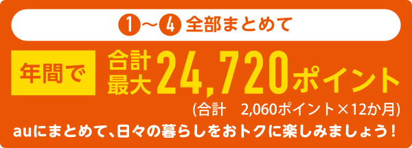 年間で合計最大24,720ポイント