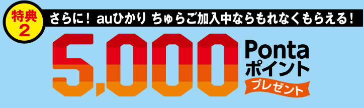 特典2:さらに!auひかり ちゅらご加入中ならもれなくもらえる!5000Pontaポイント！