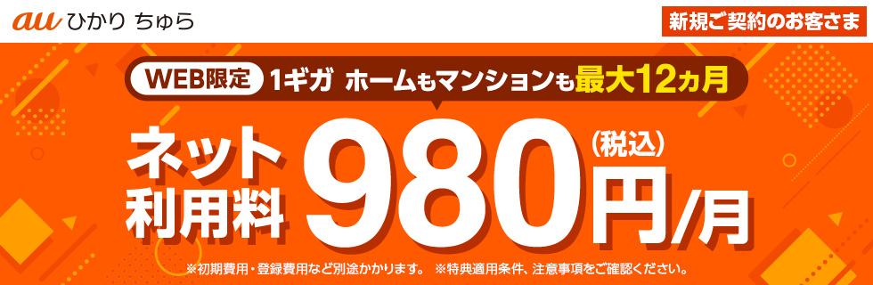 WEB限定 ホームもマンションも最大12カ月間 ネット利用料980円(税込)/月