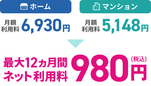 最大12カ月間ネット利用料980円（税込）