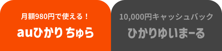 月額980円で使える！auひかり ちゅら