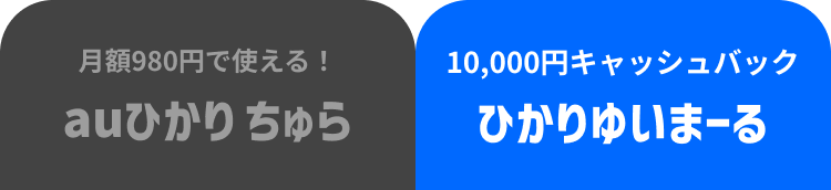 10,000円キャッシュバック ひかりゆいまーる